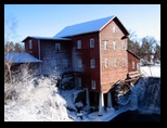 Frosted Trees at the Dells MIll