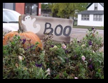 Augusta Wisconsin Scarecrow Avenue Boo