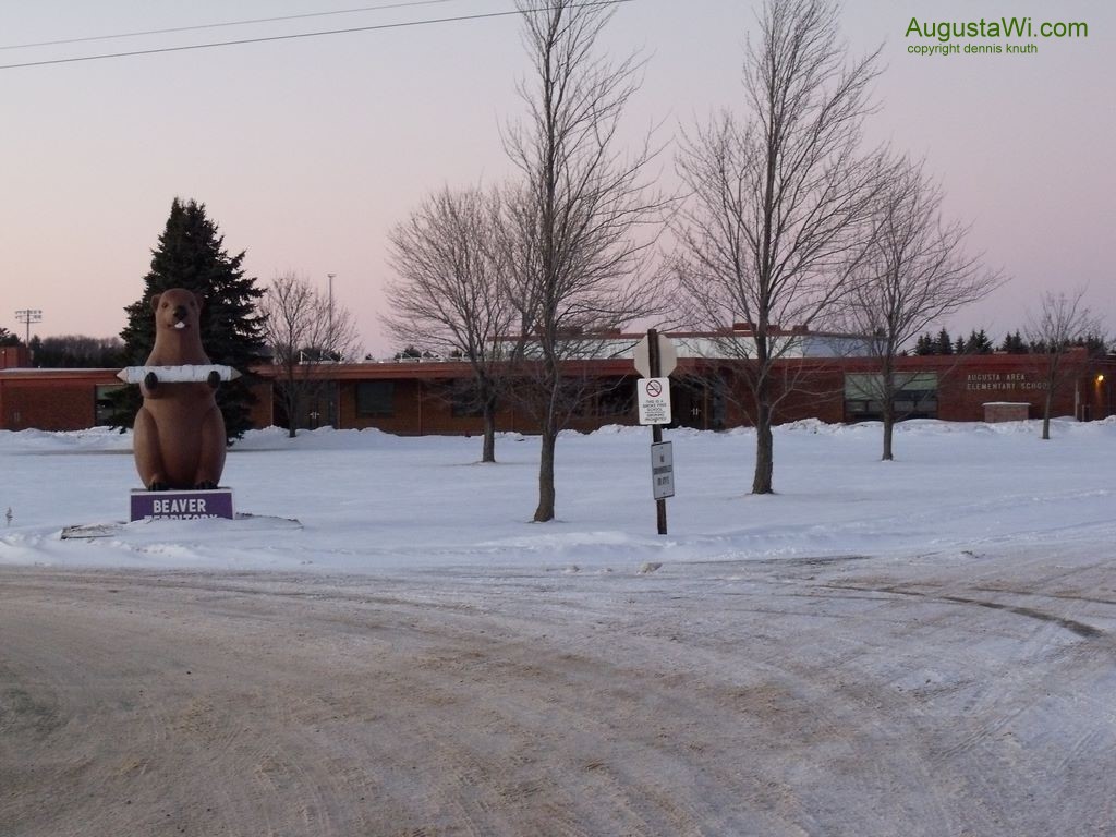 The Augusta Beaver Mascot at Augusta WI area Schools