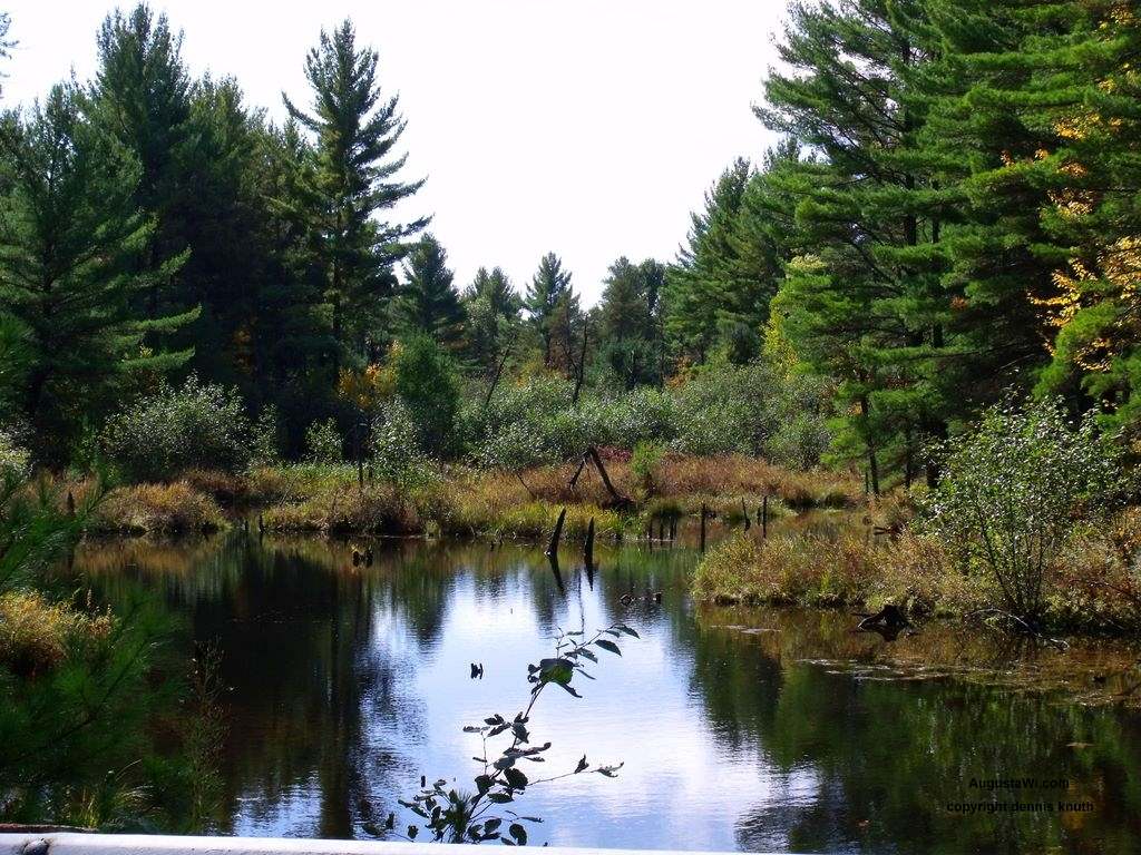 Eau Claire County Forest Slough Near Augusta WI