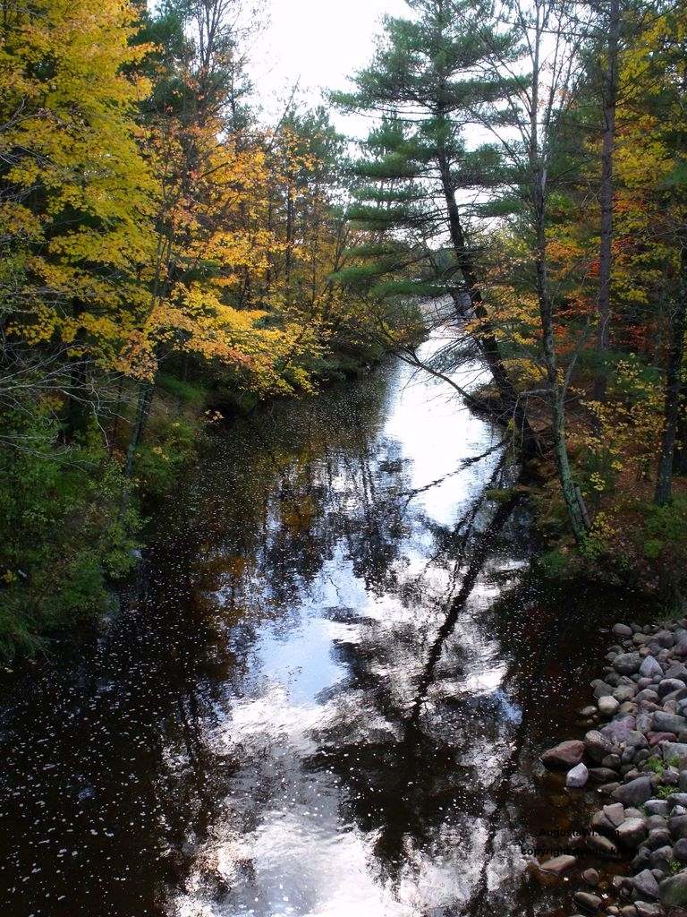 Bridgecreek from the Coon Fork Dam near Augusta WI in Eau Claire County