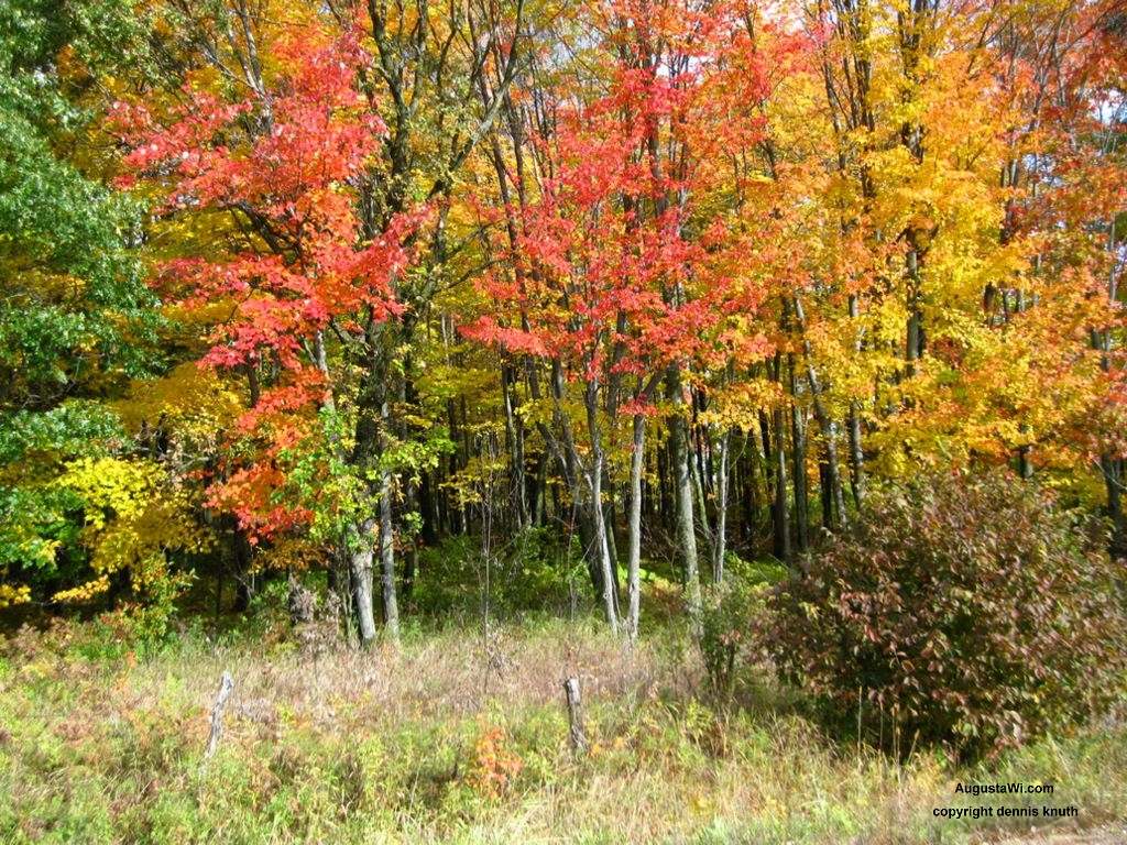 Harstad Park Wisconsin