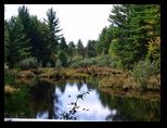 Coon fork slough