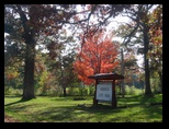 Autumn in First Ward Park Augusta Wisconsin