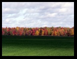 Solie Road in Augusta Wisconsin Fall