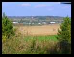 View in Autumn from Pease Street