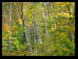 Autumn from South Pease Street in Augusta Wisconsin