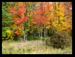 An Autumn Country Road in Agusta Wisconsin