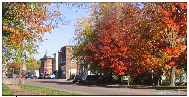 Wisconsin Autumn South Stone Street on an Autumn Day in Augusta Wisconsin