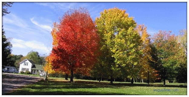 Fall Autumn Splendor Nourth Stone Street on an Autumn Day in Augusta Wisconsin