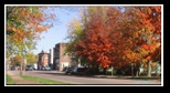 Autumn on Stone Street South